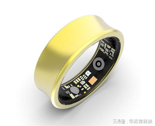 智能健康監(jiān)測戒指選購指南 專業(yè)品牌深度解析